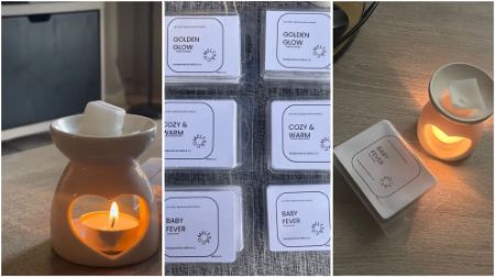 Picture for category Wax Melts