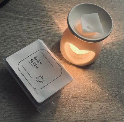 Picture of Melts & Co Starter Kit